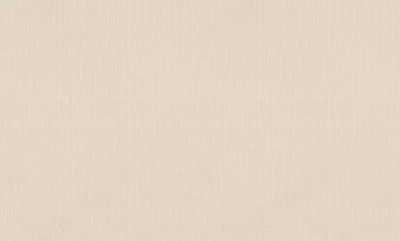 rapport